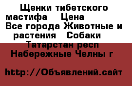 Щенки тибетского мастифа. › Цена ­ 30 000 - Все города Животные и растения » Собаки   . Татарстан респ.,Набережные Челны г.